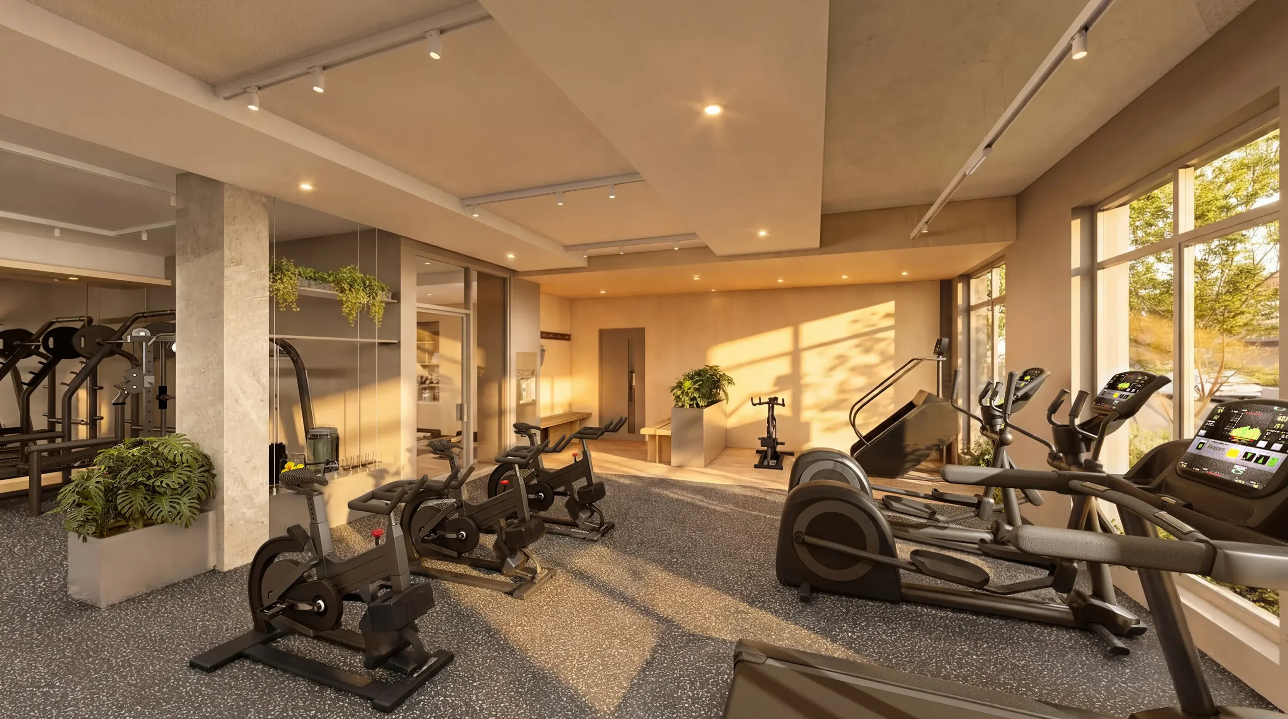 Salle de sport du Hector